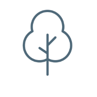 Arbre avec deux branches.